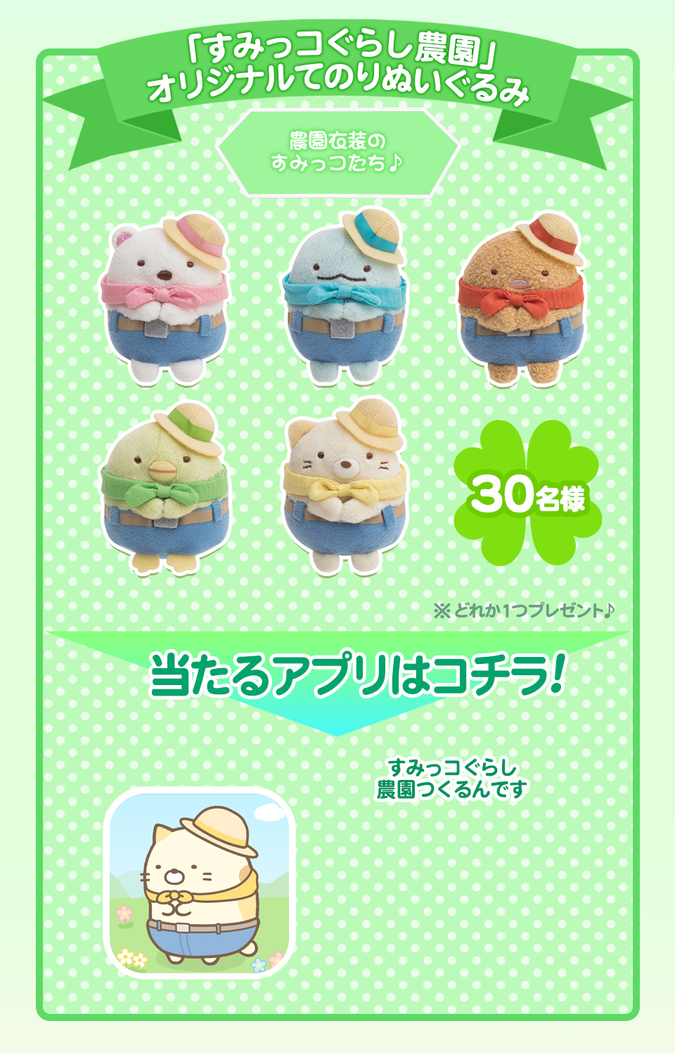 image.php?image_seq_id=13668&