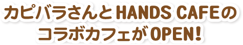 JsoR{JtFI[v